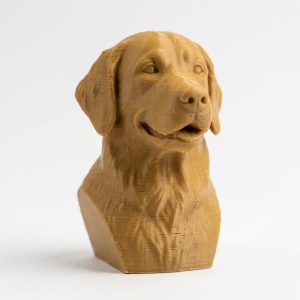 Busto 3D de mascota personalizado